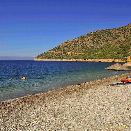 Melinda Pension & Restaurant Mesudiye  Exterior foto
